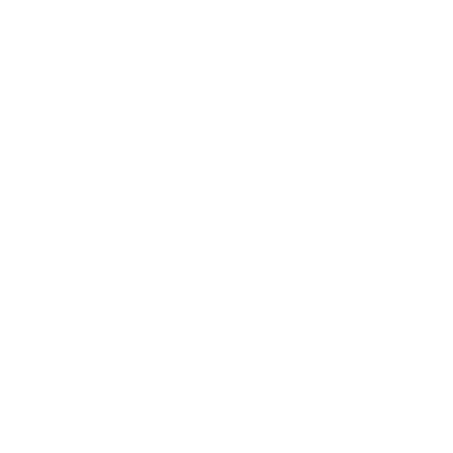 VoidWorld Logo